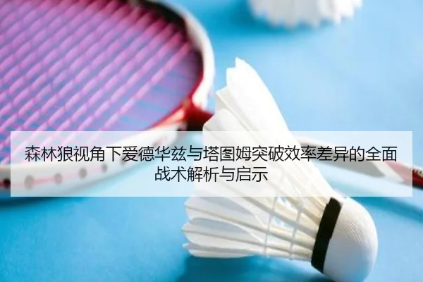 森林狼视角下爱德华兹与塔图姆突破效率差异的全面战术解析与启示